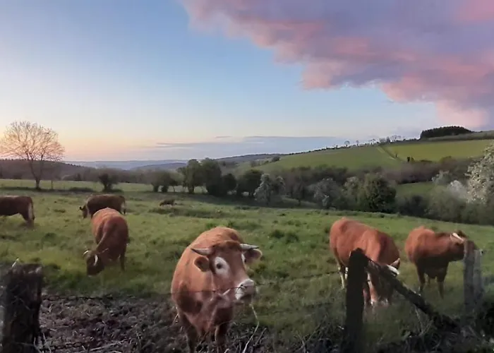 Feriehus Les De La Petite Taupe - Akotee Saint-Omer (Calvados)