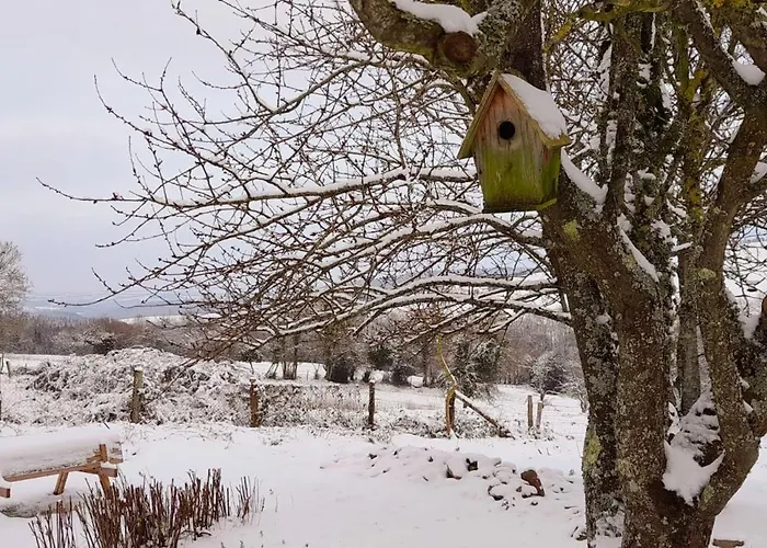 Les De La Petite Taupe - Akotee