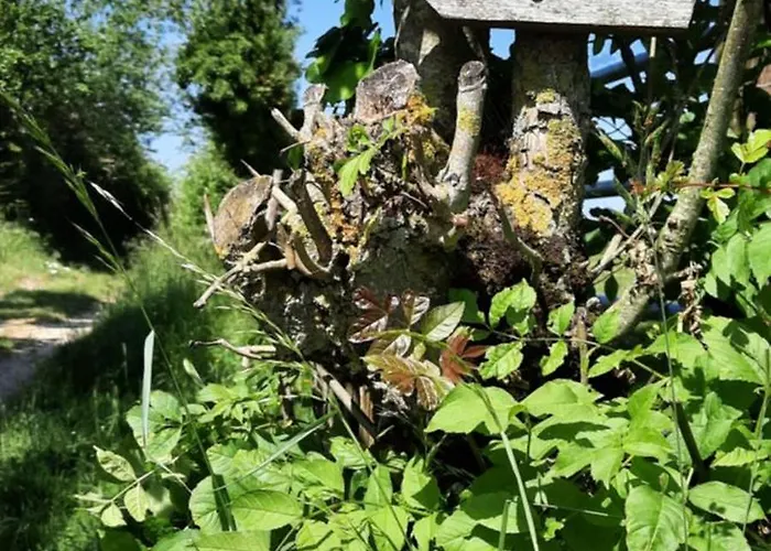 Les De La Petite Taupe - Akotee Feriehus *