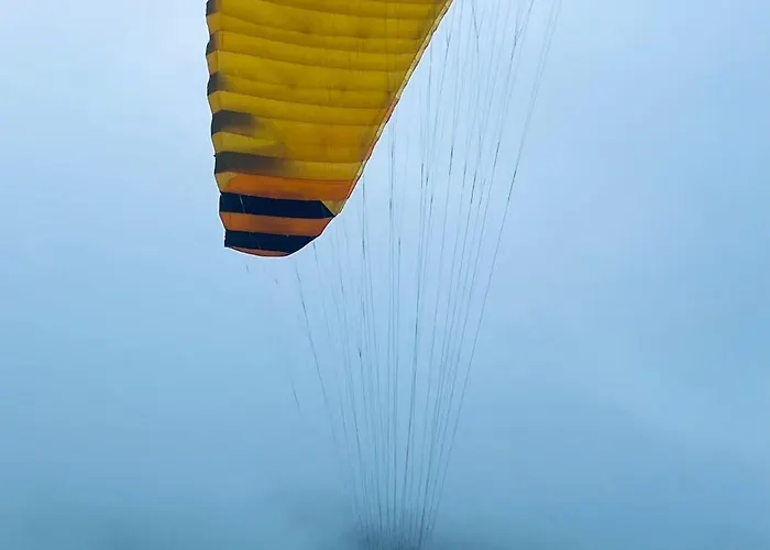 Les De La Petite Taupe - Akotee Saint-Omer (Calvados)