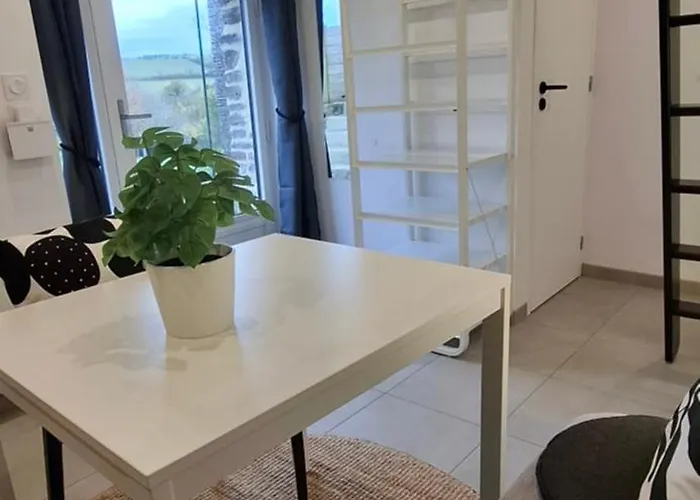 Les De La Petite Taupe - Akotee * Saint-Omer (Calvados)